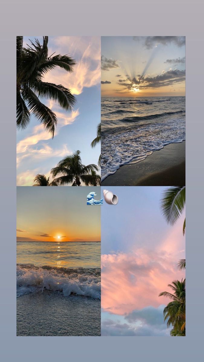 four different pictures with palm trees and the sun setting in the sky over the ocean