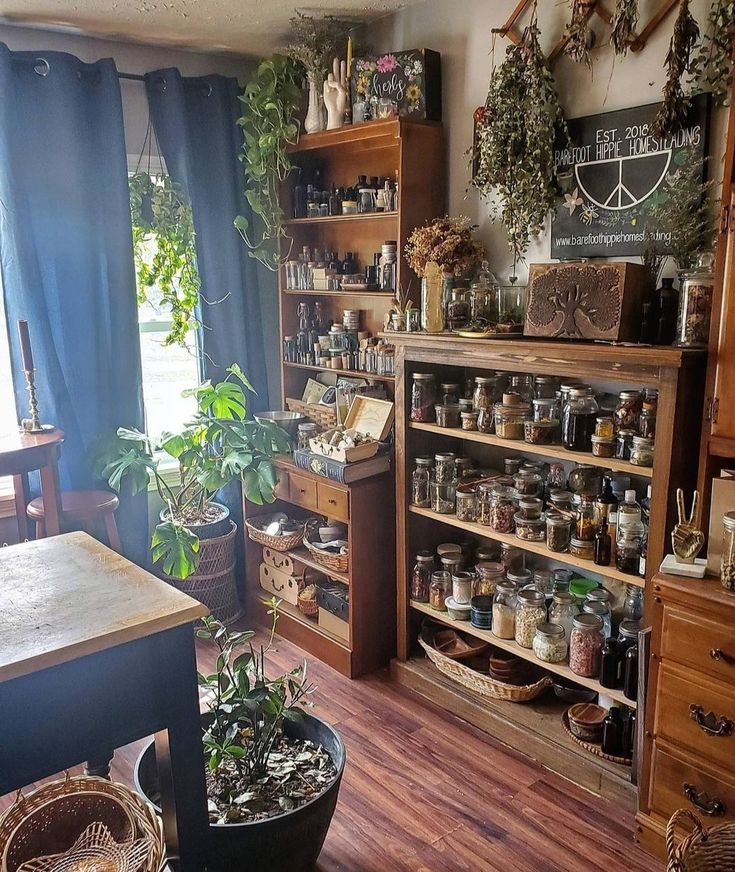 a room filled with lots of shelves and plants