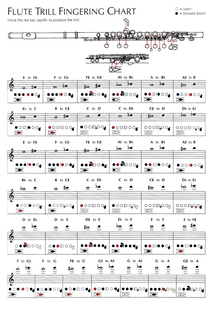 the flute fingering chart for flutes