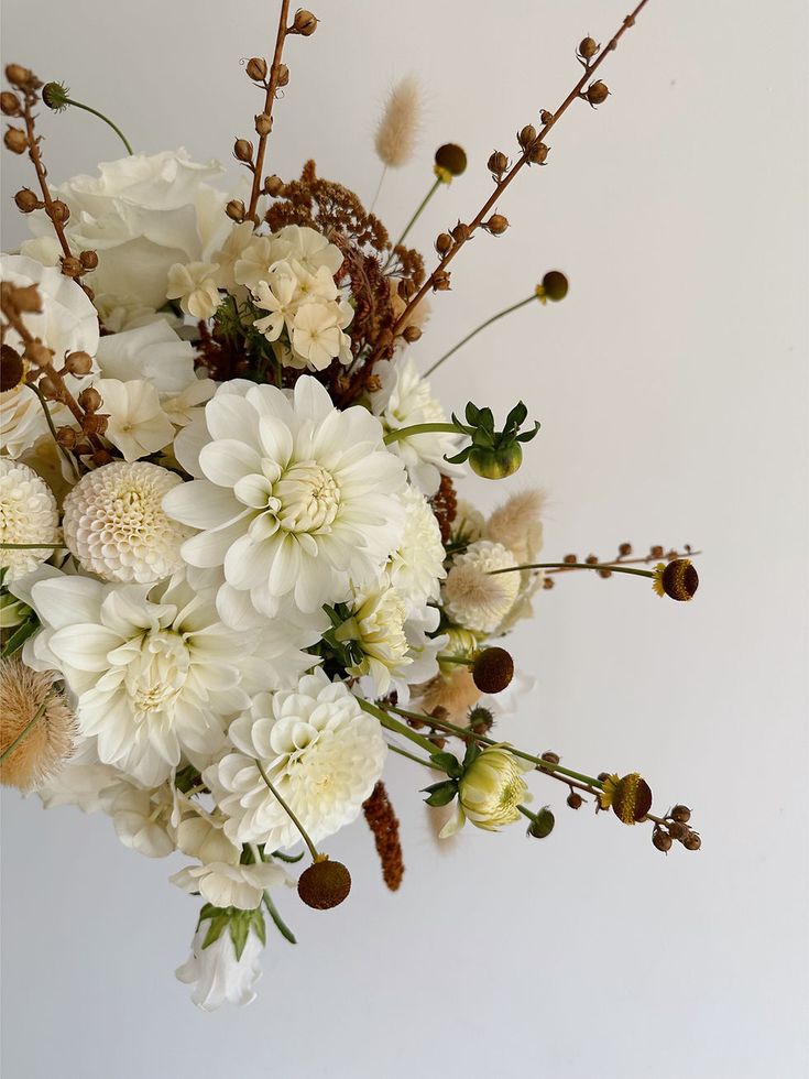 a bouquet of white flowers is shown against a white background with brown stems and leaves