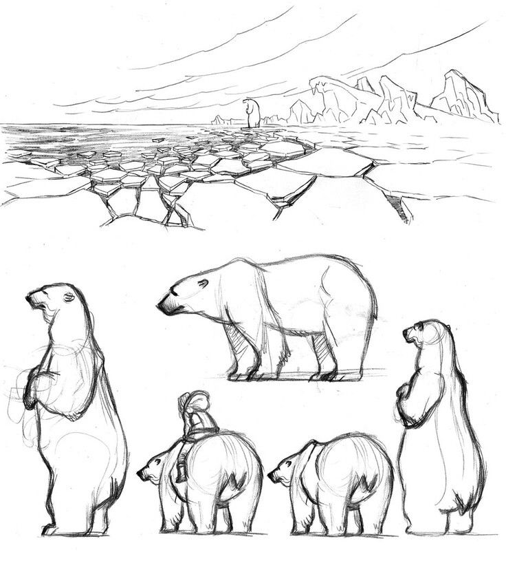 some polar bears are standing in the snow and one bear is looking at something behind them