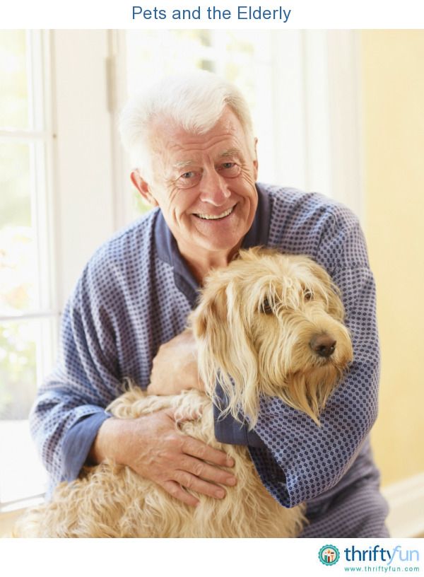 an older man holding a dog in his arms