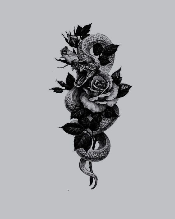 a snake and roses tattoo design on a gray background