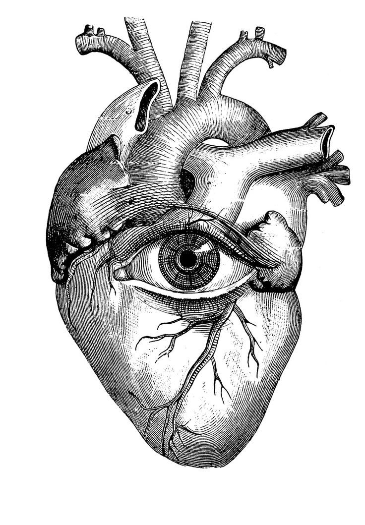 the human heart with an all seeing eye in it's center, vintage engraved engraving