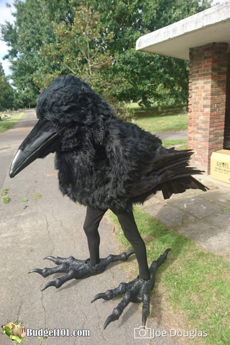 a large black bird standing on top of a sidewalk