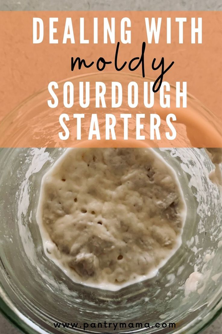 a glass bowl filled with liquid and the words dealing with moldy sourdough starterrs