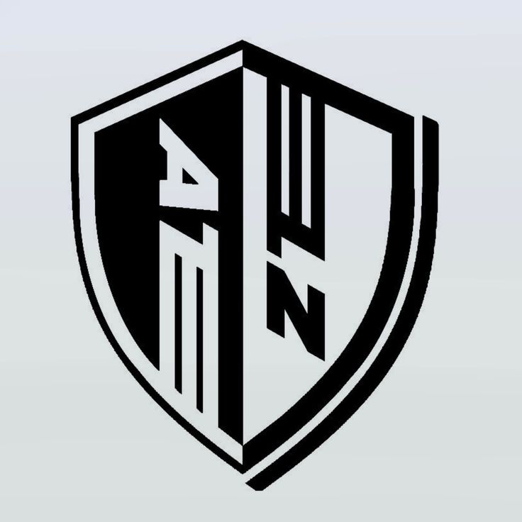 a black and white shield logo with the letter n on it's front side