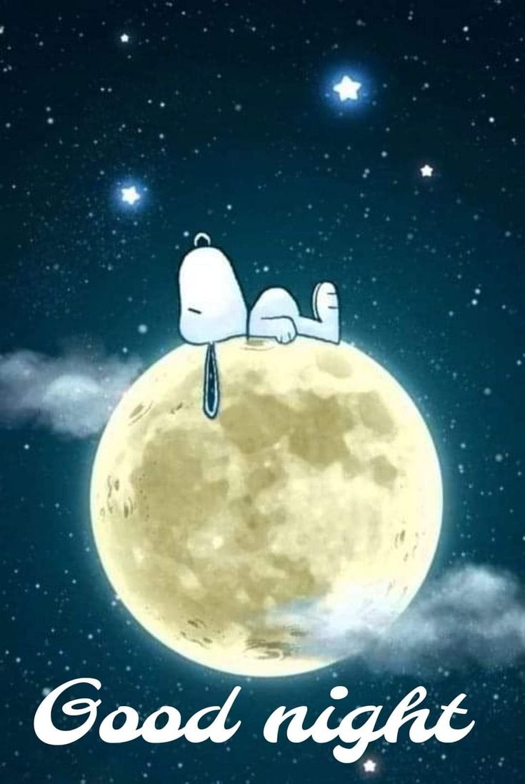 two cats are sleeping on the moon with good night written in white letters above them