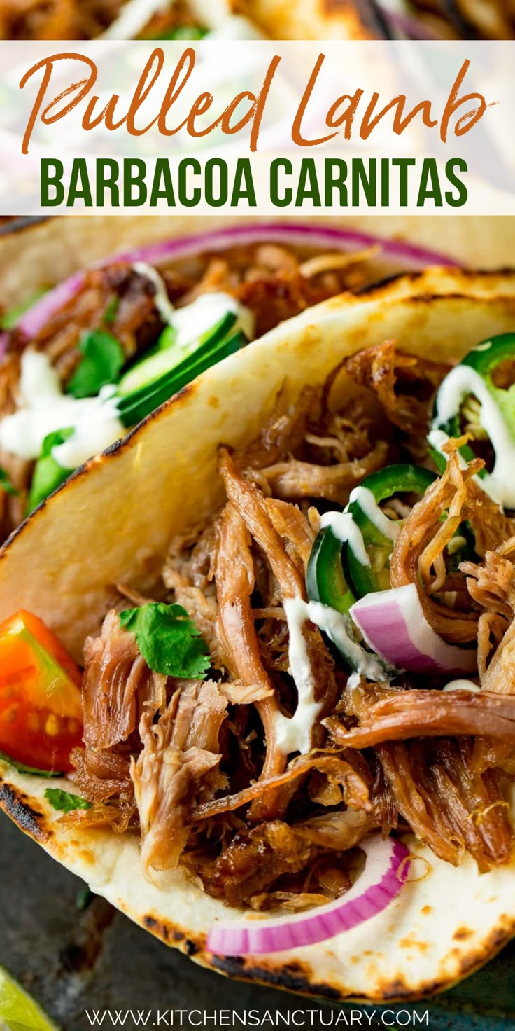 pulled pork barbacoa carnitas on a tortilla