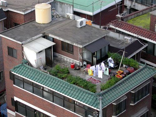 an apartment building with green roof and plants growing on it's rooftop top area