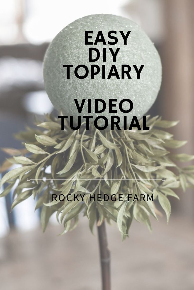 an easy diy topiary with text overlay that reads, easy diy topiary video tutor rocky hedge farm