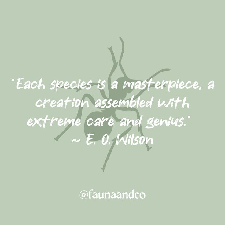 an image with the quote each species is a masterpiece, a creature assembled with extreme care and genius