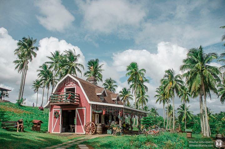 a red barn with palm trees in the background and a walkway leading up to it