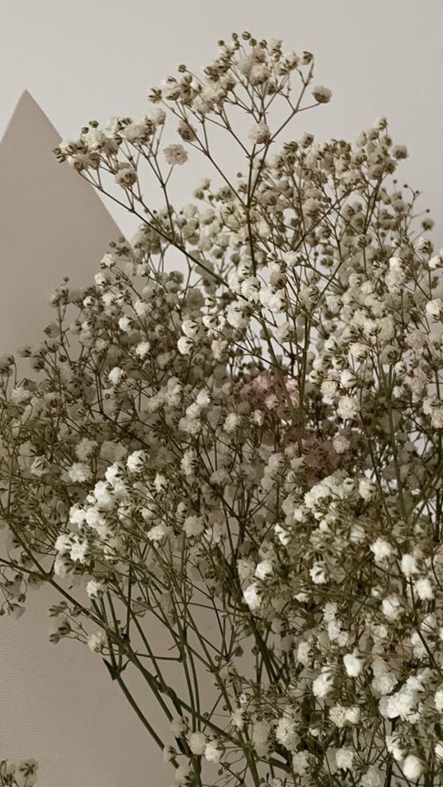 a vase filled with white flowers on top of a table