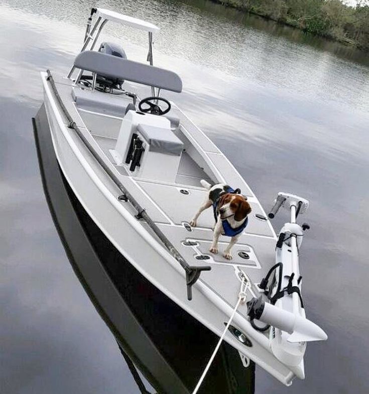 a dog is standing on the bow of a boat in the water with it's owner