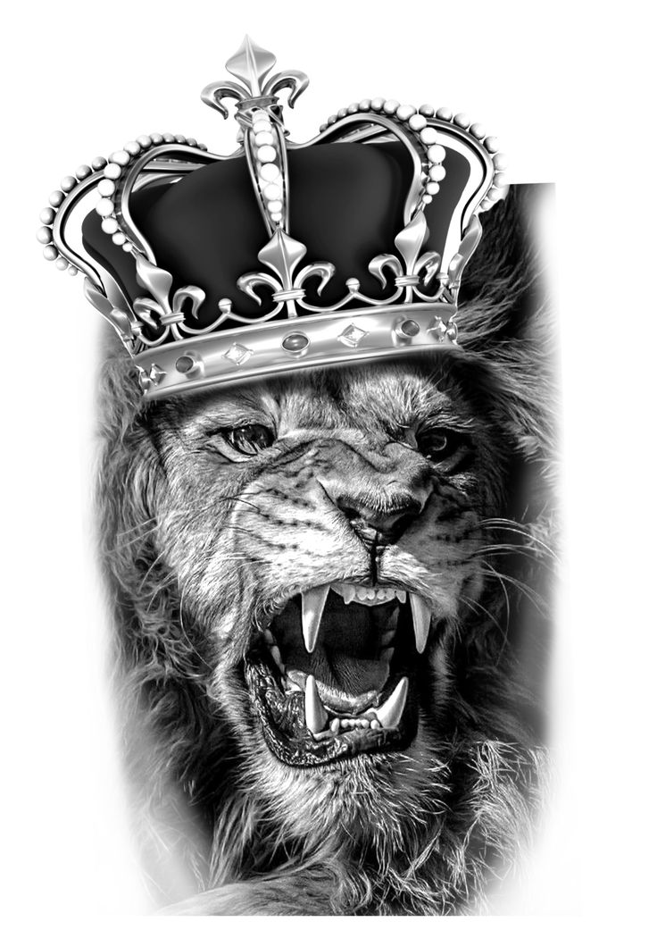 a black and white photo of a lion wearing a crown