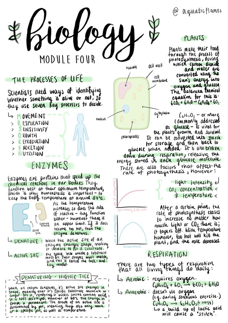 a hand drawn diagram with the words biology and some other things to describe in it