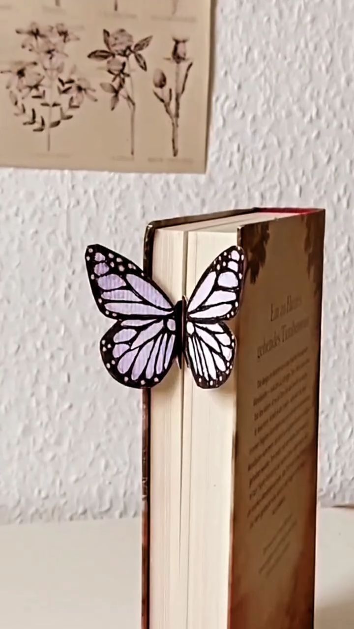 a book with a butterfly on top of it sitting next to a wall mounted picture