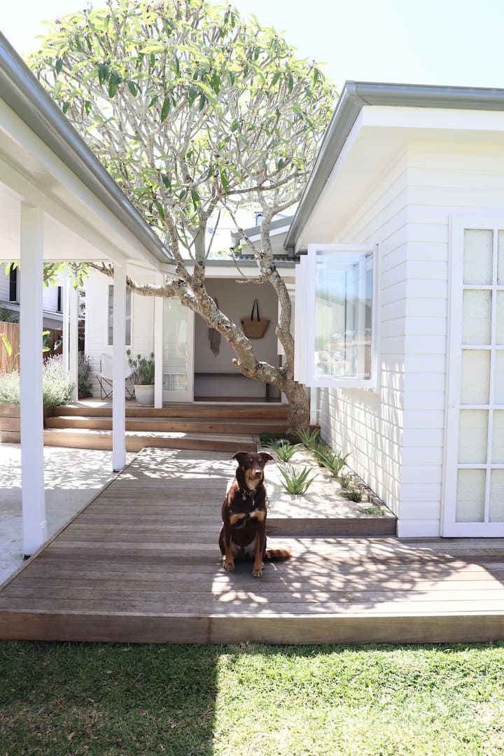 a dog is sitting on the deck in front of a house with white siding and trees