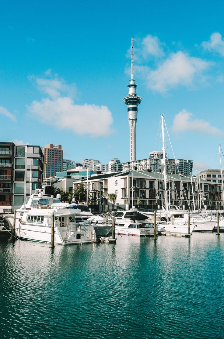 several boats are docked in the water next to some buildings and a tall tower with a clock on it