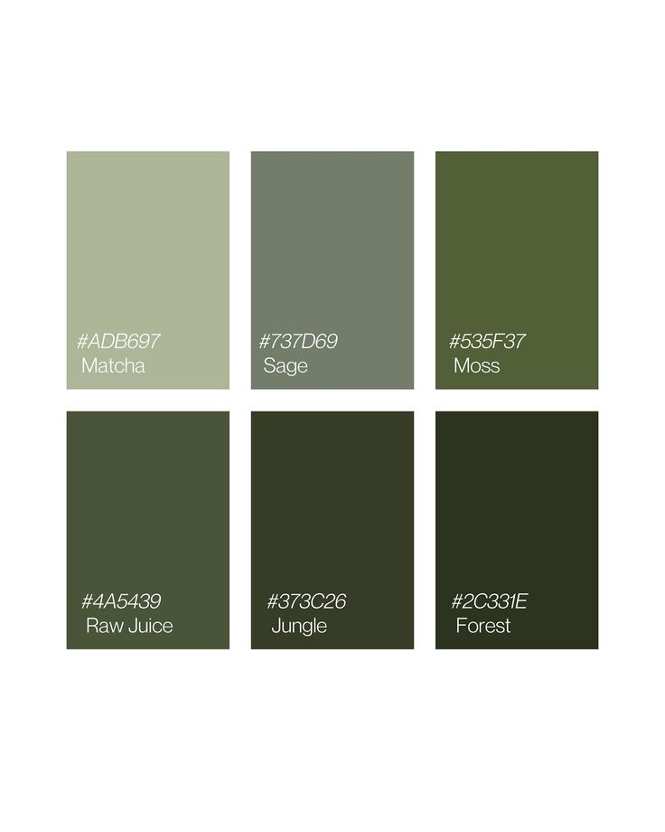 four different shades of green and brown with the words,'color matcha '