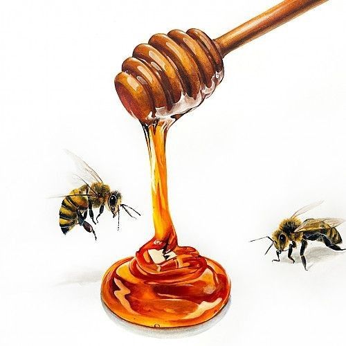 two honeybees, one with a wooden stick and the other with a liquid