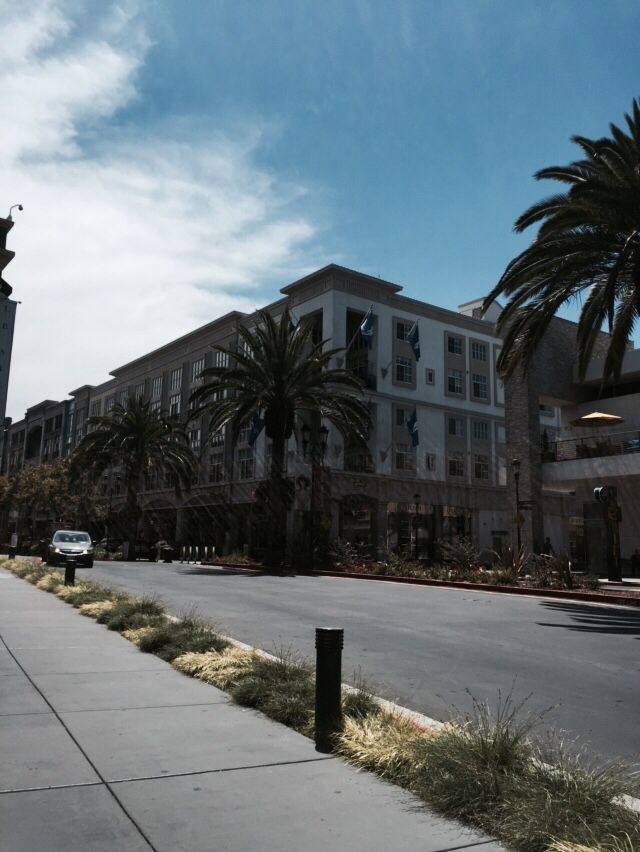 an empty street with palm trees and buildings in the background