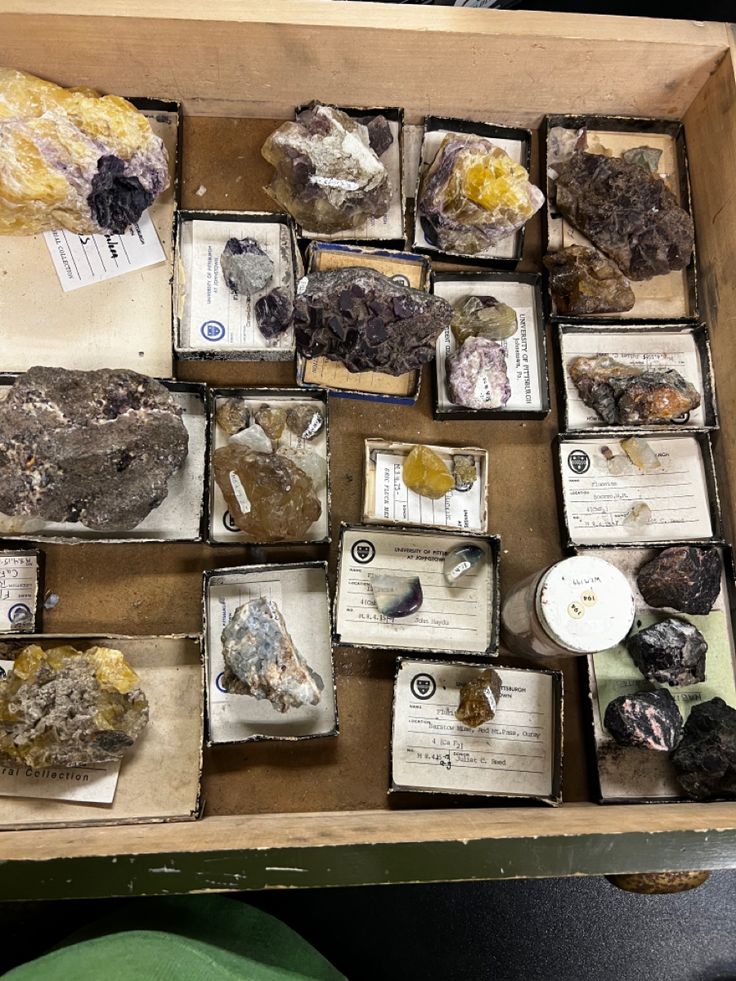 a box filled with lots of different types of rocks and other things on display in it