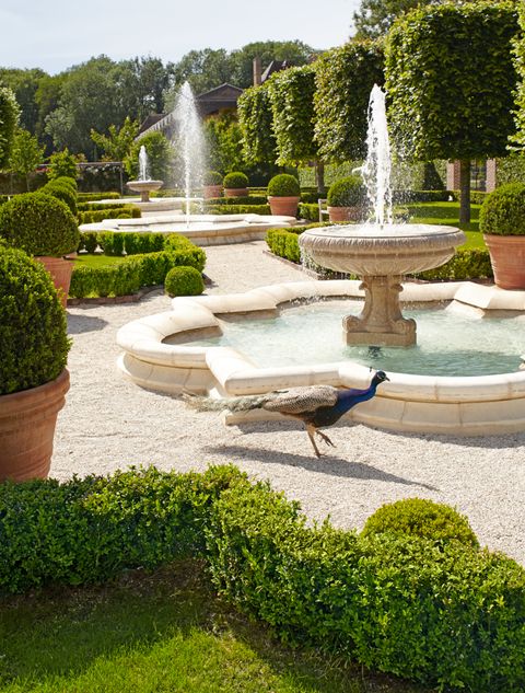 a bird is standing in the middle of a garden with fountain and potted plants