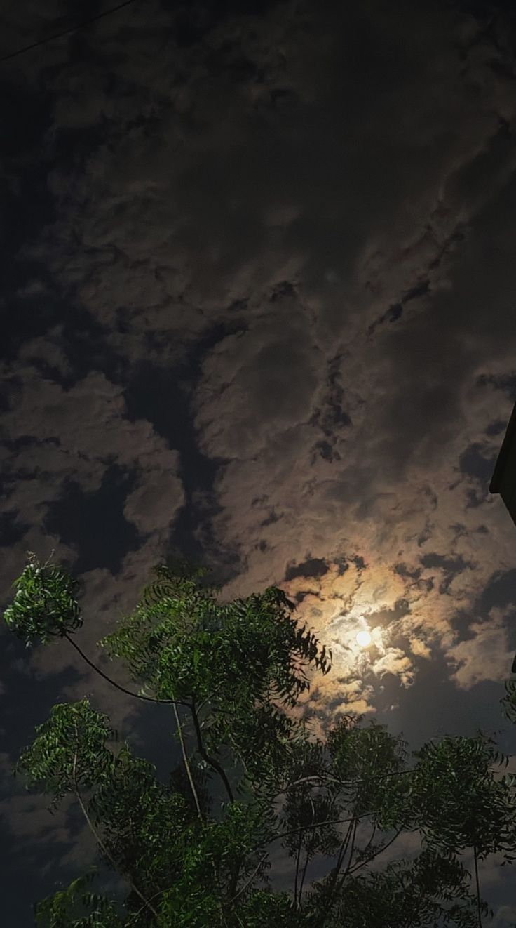 the full moon shines brightly in the cloudy sky above some green trees and bushes