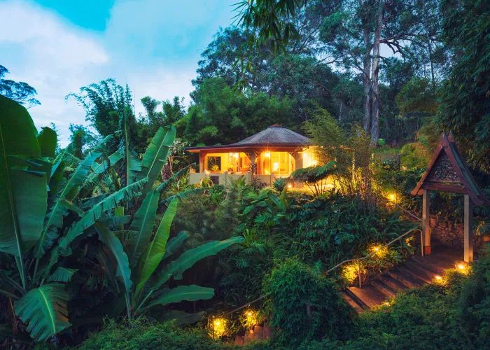 the house is surrounded by lush vegetation and lit up with lights in the garden at night