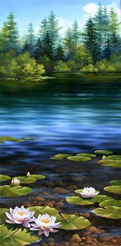 an image of water lilies in the pond