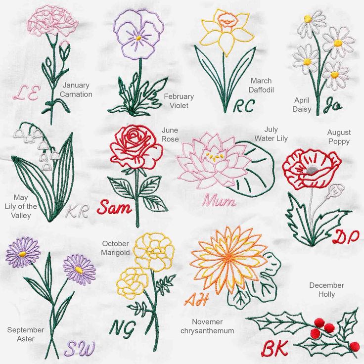 the different types of flowers and their names are drawn in colored pencils on paper