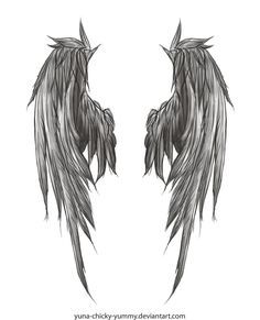 two black and white angel wings with long, thin wings on the back of each wing