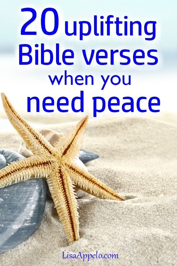 a starfish on the beach with text overlay reading 20 uplifting bible verses when you need peace