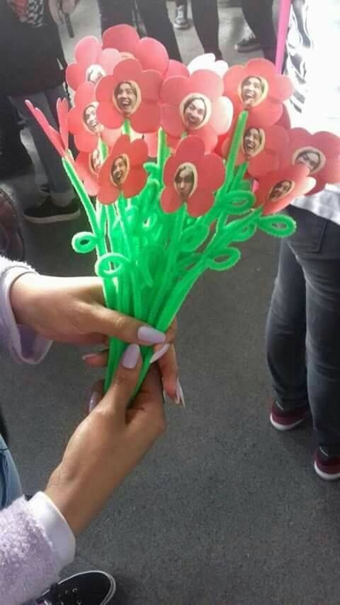 a person holding up a bunch of flowers with pictures on it and some people in the background