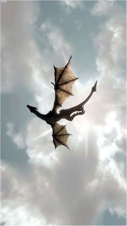 a dragon flying in the sky with its wings spread