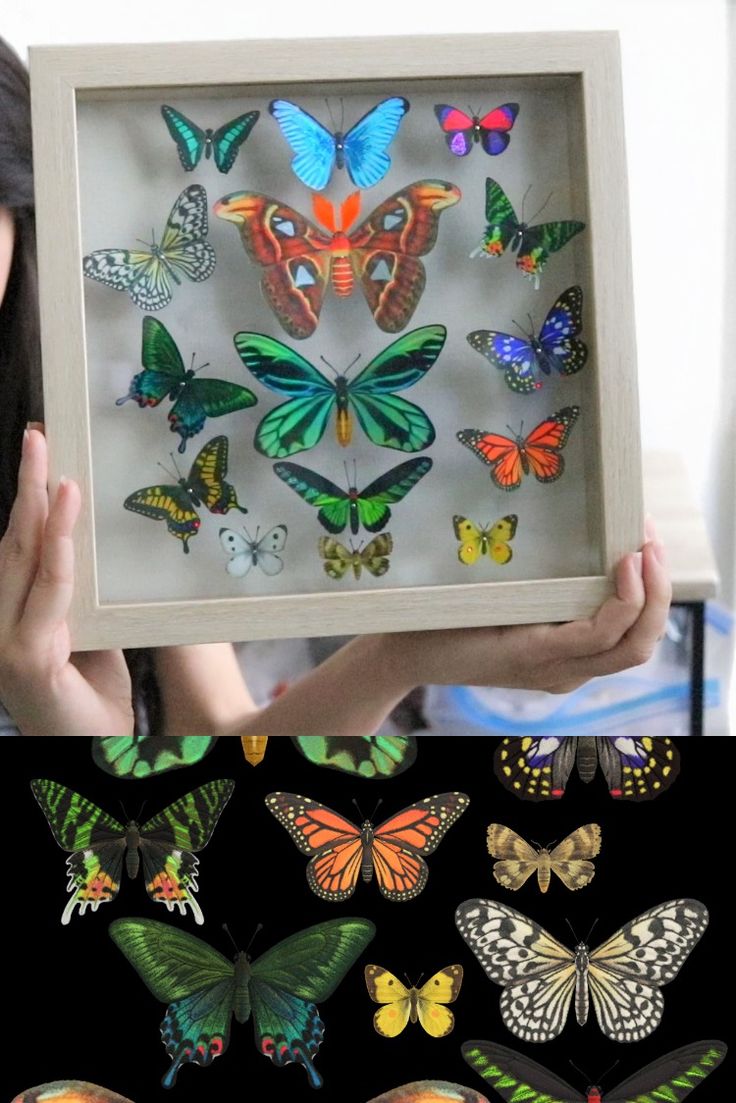 a woman holding up a shadow box with butterflies in it and an image of the inside