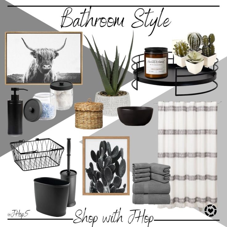 bathroom style with grey and white accents, cactus plants, toilet paper holder, shower curtain