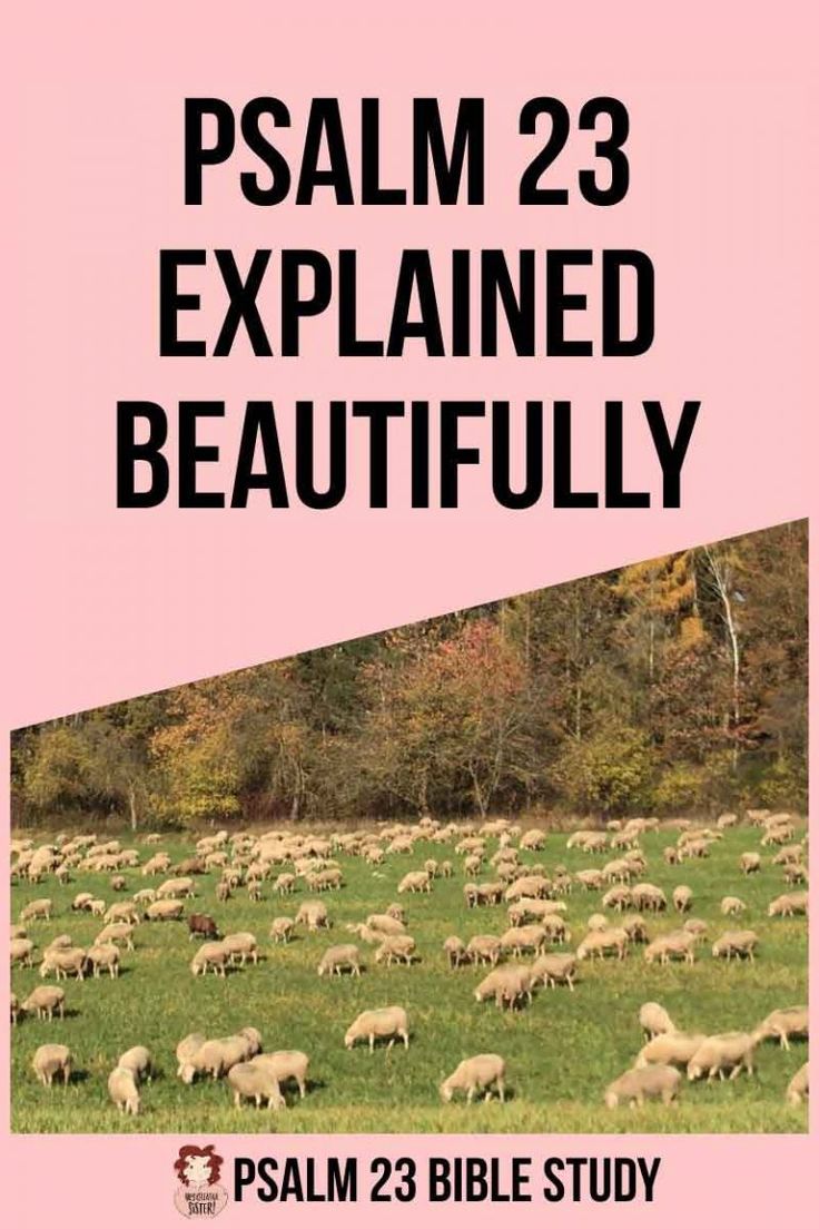 a large herd of sheep grazing in a field with the words,'psalm 23 explained beautifully '