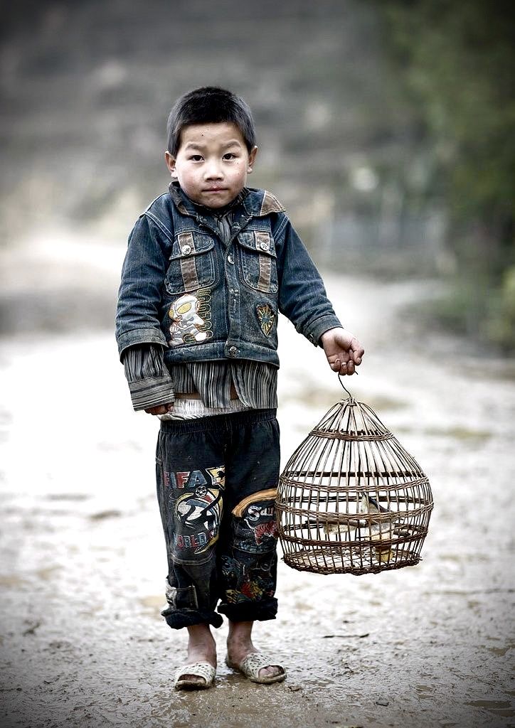 a young boy holding a bird cage in his hand while standing on a dirt road