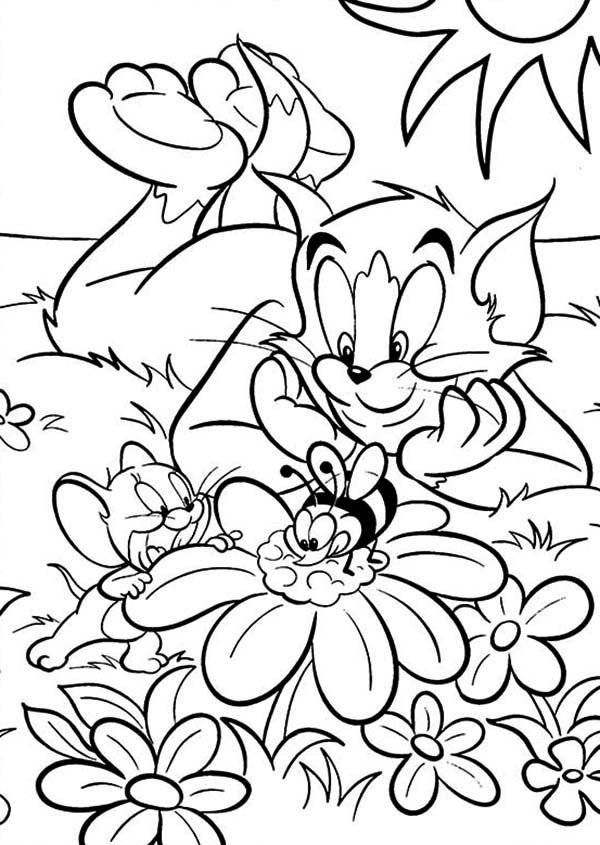 the cat in the hat coloring pages with flowers and butterflies for kids to color on