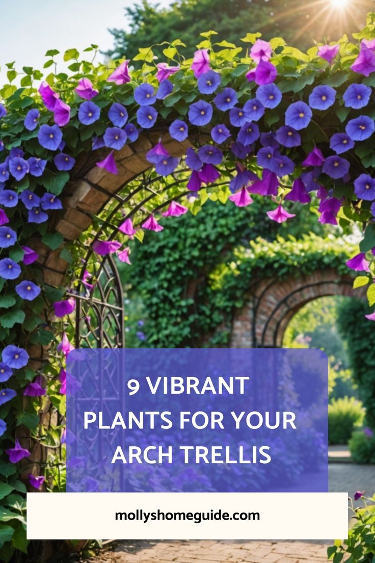 an arch covered in purple flowers with the words 9 vibrant plants for your arch trellis