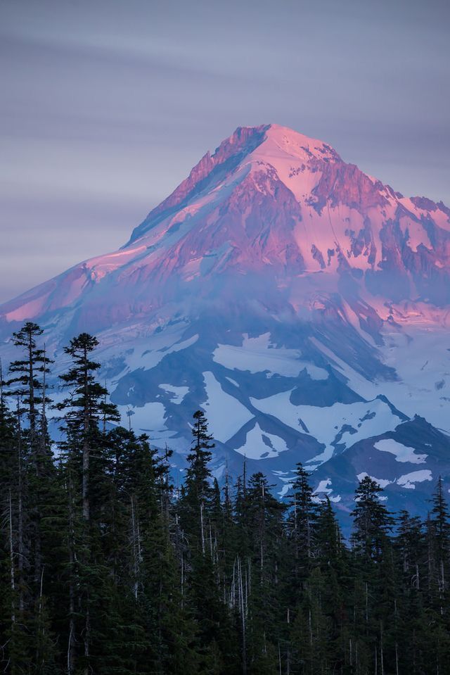 a large mountain covered in snow surrounded by pine trees and evergreens at sunset or dawn