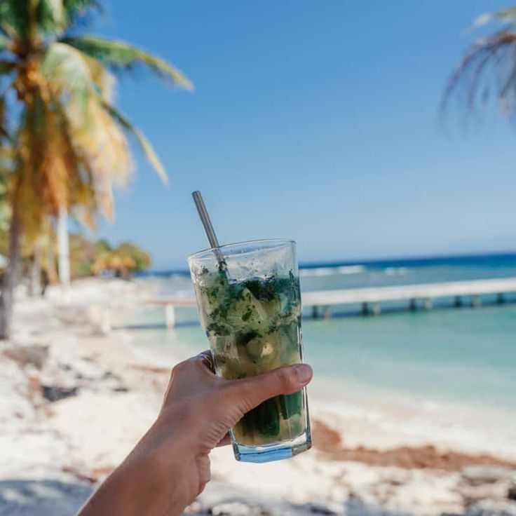 a person holding up a drink in front of the ocean on a beach with palm trees