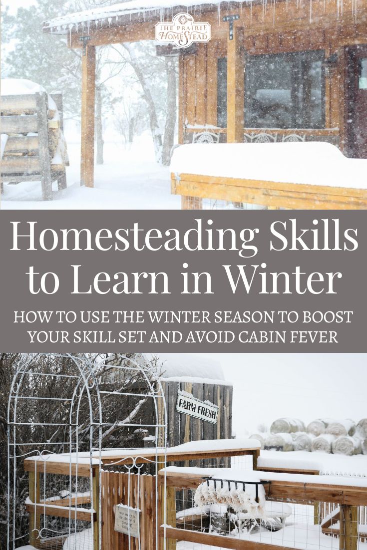 the front cover of a book with an image of a cabin in the background and text that reads homesteading skills to learn in winter