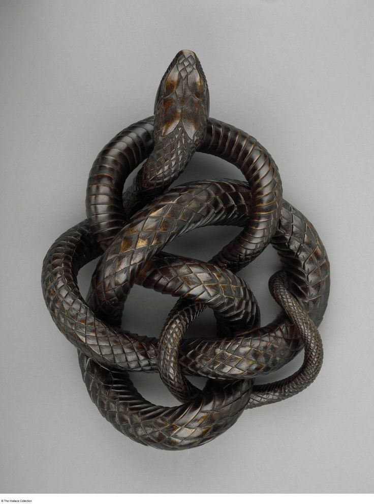 a snake is curled up in the shape of a ball on a gray surface with white background