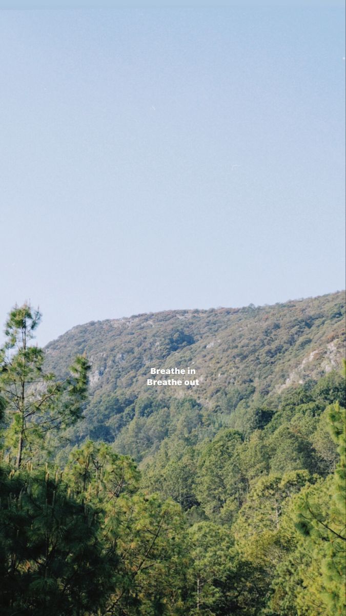 an image of a mountain with trees in the foreground