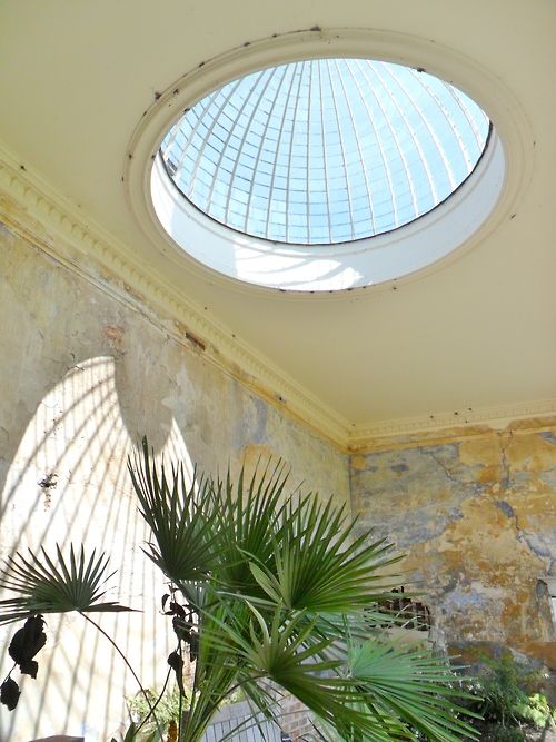 a round window in the middle of a room with a palm tree and potted plant