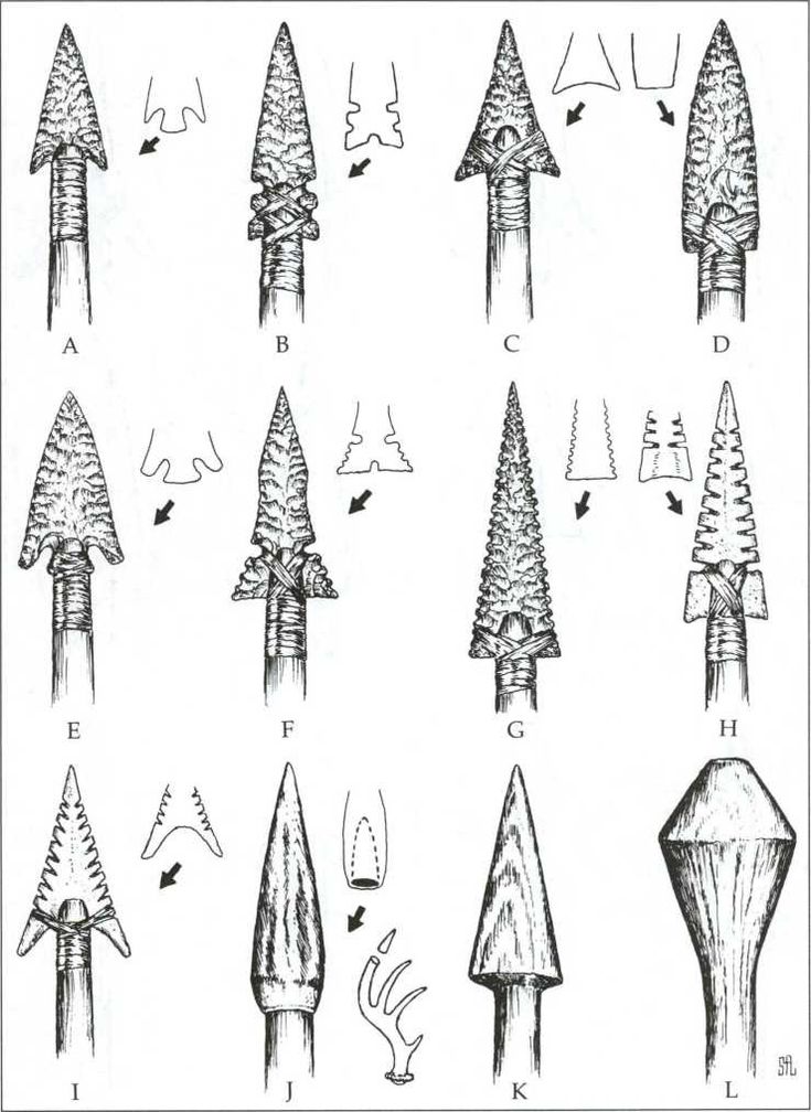 several different types of trees are shown in this drawing